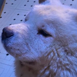 Meet your Posher, Jay